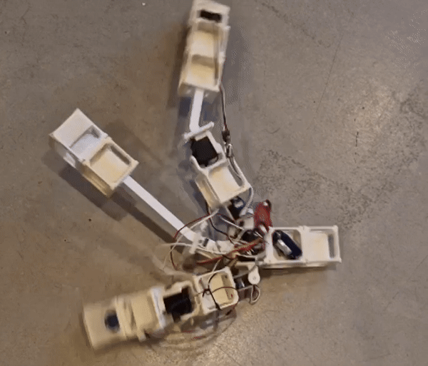 Evolved Robot
