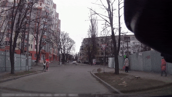 Pedestrian Intention Prediction